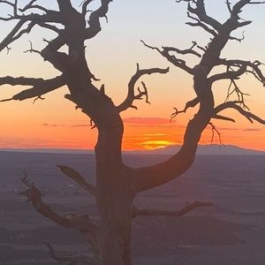 Meet your Posher, Jena kay